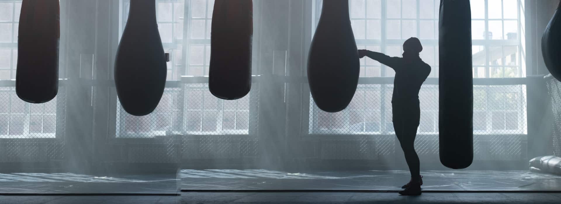 Boxer training in a gym