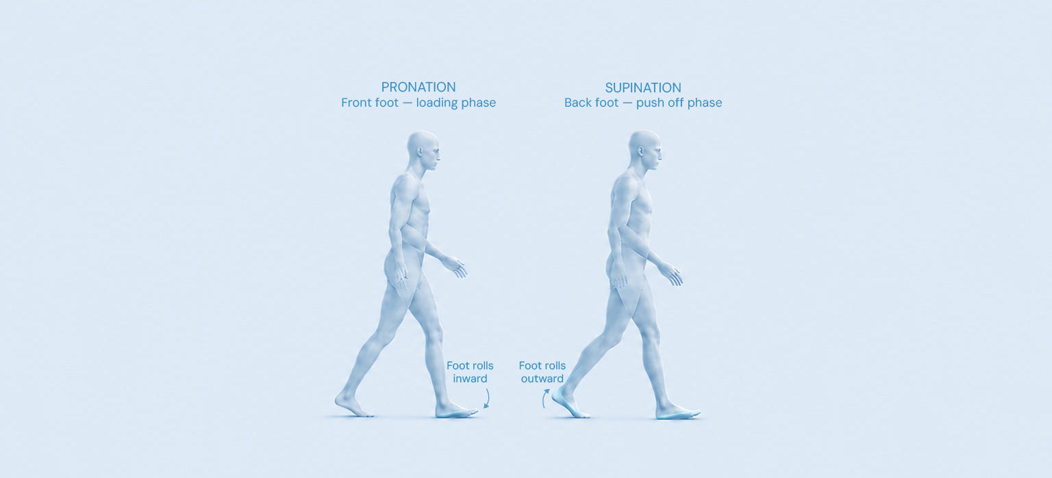 Diagram of a person walking with labeled phases on a light blue background