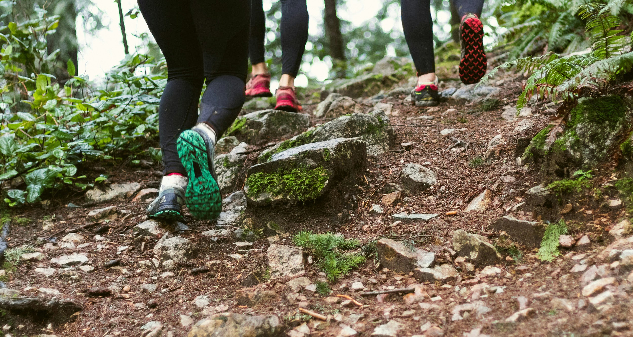 People tramping in forest