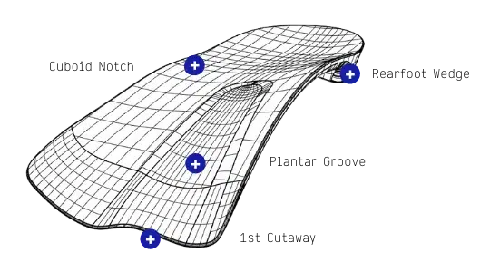Orthotic with features highlighted