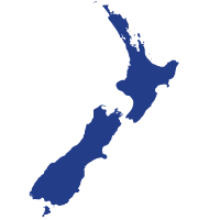 NZ icon